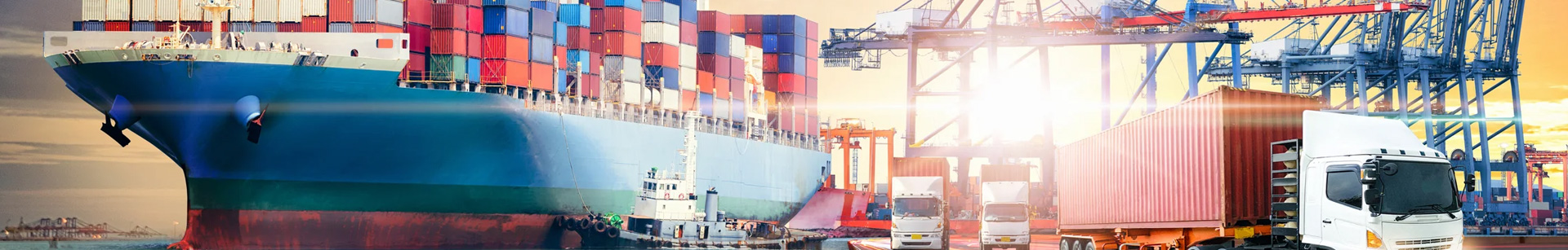 Steadfast Cargo Services L.L.C