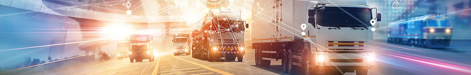 Steadfast Cargo Services L.L.C