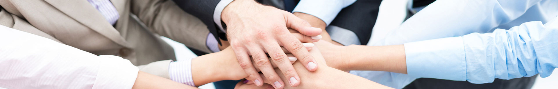 Steadfast Cargo Services L.L.C