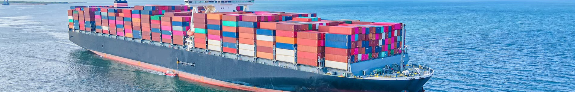 Steadfast Cargo Services L.L.C