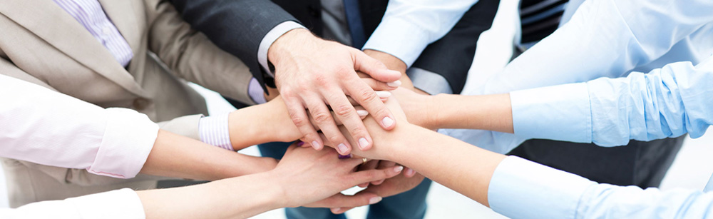 Steadfast Cargo Services L.L.C