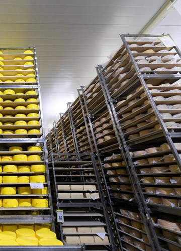 Cold Storage Solutions