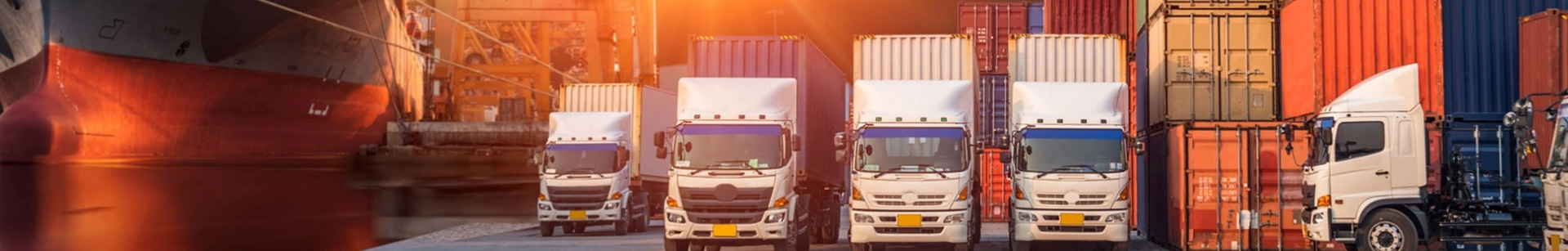 Steadfast Cargo Services L.L.C