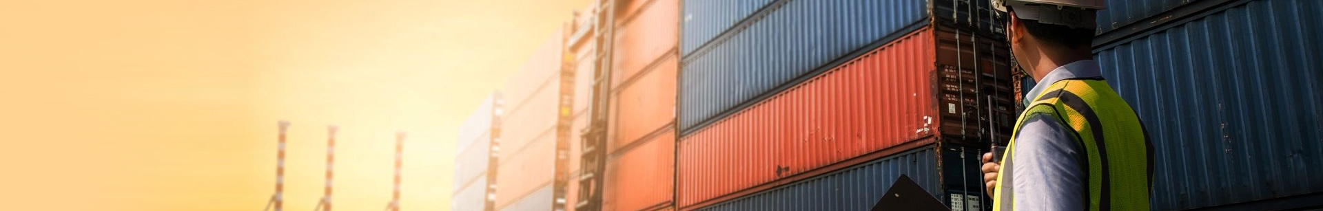 Steadfast Cargo Services L.L.C